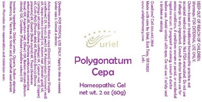 Polygonatum Cepa Gel (Polygonatum Cepa Gel..)